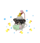 ぃぬちゃんと ねこちゃん②（個別スタンプ：12）