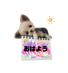 ぃぬちゃんと ねこちゃん②（個別スタンプ：22）