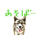 秋田犬じゅうべえ（個別スタンプ：15）