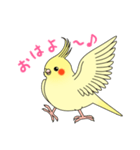 おしゃべりオカメインコちゃん（個別スタンプ：1）