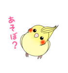 おしゃべりオカメインコちゃん（個別スタンプ：3）