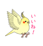 おしゃべりオカメインコちゃん（個別スタンプ：9）