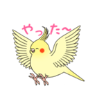 おしゃべりオカメインコちゃん（個別スタンプ：10）