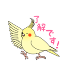 おしゃべりオカメインコちゃん（個別スタンプ：12）