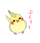 おしゃべりオカメインコちゃん（個別スタンプ：13）