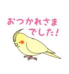 おしゃべりオカメインコちゃん（個別スタンプ：16）