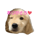 ふうすたんぷ。2（個別スタンプ：4）
