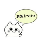 白ねこの敬語で伝えるスタンプ（個別スタンプ：19）