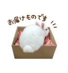 うさぎのふゆちゃんの毎日スタンプ（個別スタンプ：39）