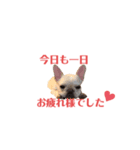 フレブルのマイル（かわいく敬語）（個別スタンプ：3）