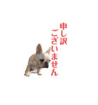 フレブルのマイル（かわいく敬語）（個別スタンプ：4）