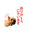 フレブルのマイル（かわいく敬語）（個別スタンプ：9）