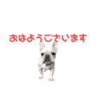 フレブルのマイル（かわいく敬語）（個別スタンプ：11）