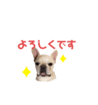 フレブルのマイル（かわいく敬語）（個別スタンプ：14）