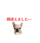 フレブルのマイル（かわいく敬語）（個別スタンプ：20）