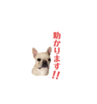 フレブルのマイル（かわいく敬語）（個別スタンプ：23）