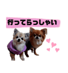 毎日ひょうくんサラちゃん（個別スタンプ：4）