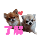 毎日ひょうくんサラちゃん（個別スタンプ：14）