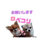 毎日ひょうくんサラちゃん（個別スタンプ：18）