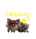 毎日ひょうくんサラちゃん（個別スタンプ：22）