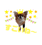 毎日ひょうくんサラちゃん（個別スタンプ：26）