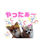 毎日ひょうくんサラちゃん（個別スタンプ：28）