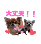 毎日ひょうくんサラちゃん（個別スタンプ：30）