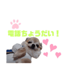 毎日ひょうくんサラちゃん（個別スタンプ：36）