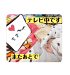 ぼく、みやとですっ（個別スタンプ：30）