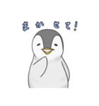 可愛い穏やかなペンギンの子（個別スタンプ：25）