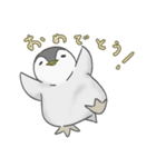 可愛い穏やかなペンギンの子（個別スタンプ：40）