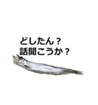 カペリンくん（個別スタンプ：5）