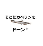 カペリンくん（個別スタンプ：11）