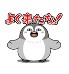 太っちょペンギン【春】（個別スタンプ：36）