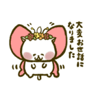 にゃんこ虎吉スタンプ パート25（個別スタンプ：30）