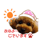 トイプー結愛の朝（個別スタンプ：2）