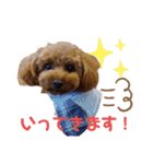 トイプー結愛の朝（個別スタンプ：3）