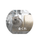とろちゃん①（個別スタンプ：2）