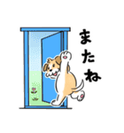 たれ耳わんこ平蔵くん 2（個別スタンプ：16）