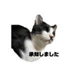 ふくちゃんあんちゃん（個別スタンプ：2）