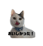 ふくちゃんあんちゃん（個別スタンプ：5）