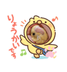 インコちゃん！！（個別スタンプ：4）