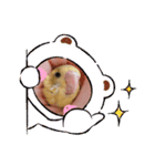 インコちゃん！！（個別スタンプ：10）