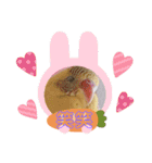 インコちゃん！！（個別スタンプ：11）