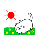 ぷっくり白ねこさん（個別スタンプ：33）