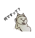 いや、猫ですよ？（個別スタンプ：2）