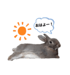 チビSTYLE♡（個別スタンプ：7）