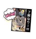 チビSTYLE♡（個別スタンプ：8）
