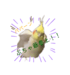 ぷちゃ爺（個別スタンプ：2）
