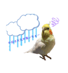 ぷちゃ爺（個別スタンプ：5）